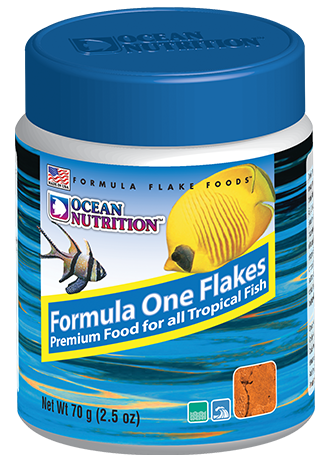 Ocean Nutrition Formula 1 flake 34gm