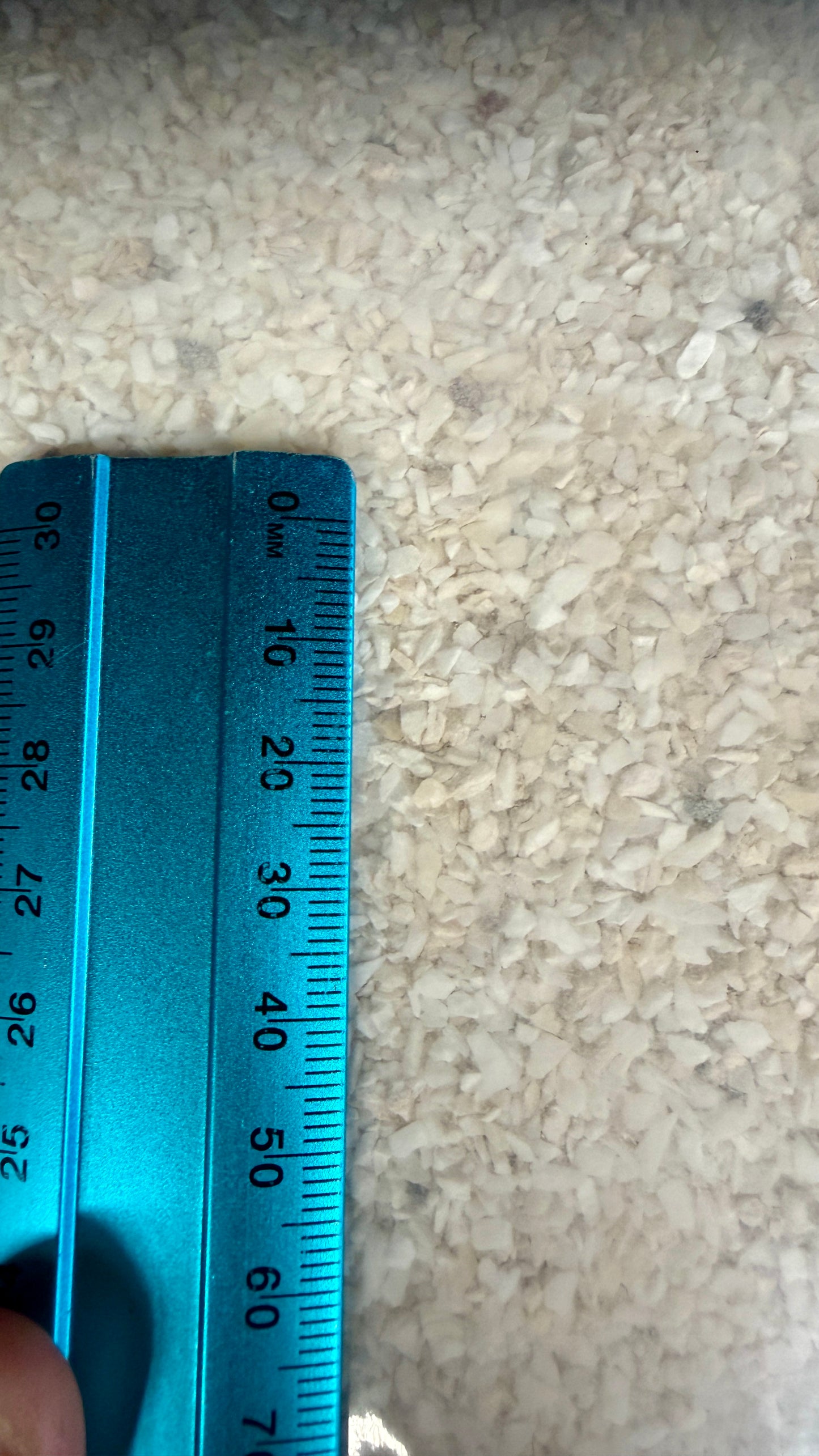 Serenity Coral Sand 1-2mm 10kg