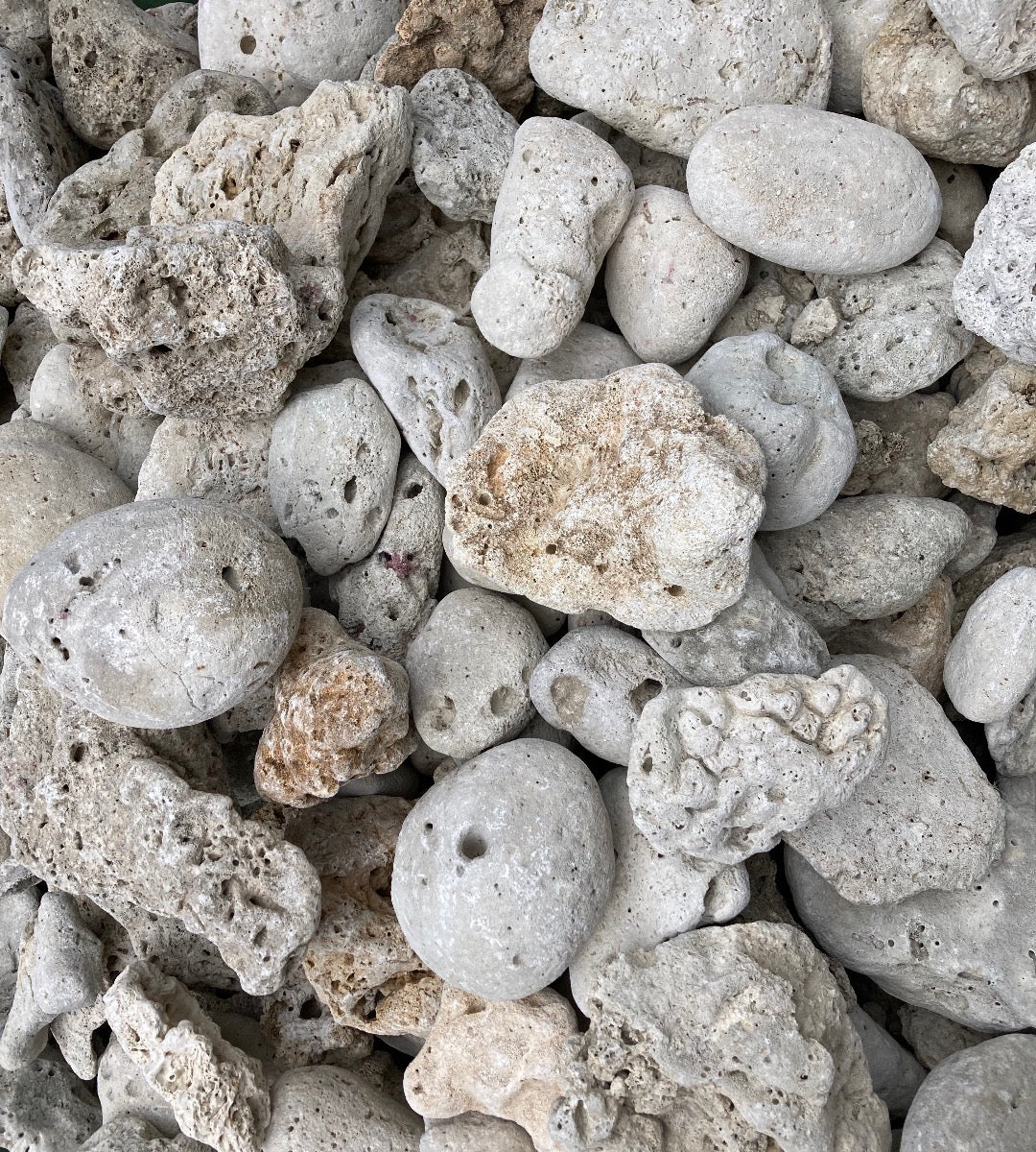 FIJI CORAL ROCK PER KG