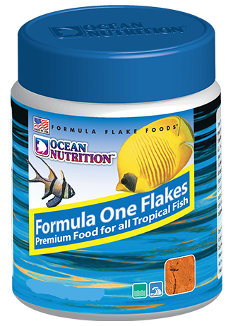 Ocean Nutrition Formula One Flake 156gm