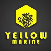 Yellow Marine  Sticky stuff coral glue 56g