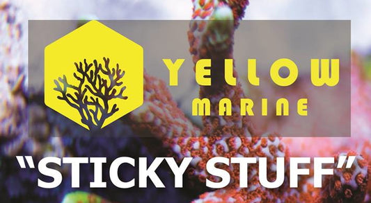 Yellow Marine  Sticky stuff coral glue 56g