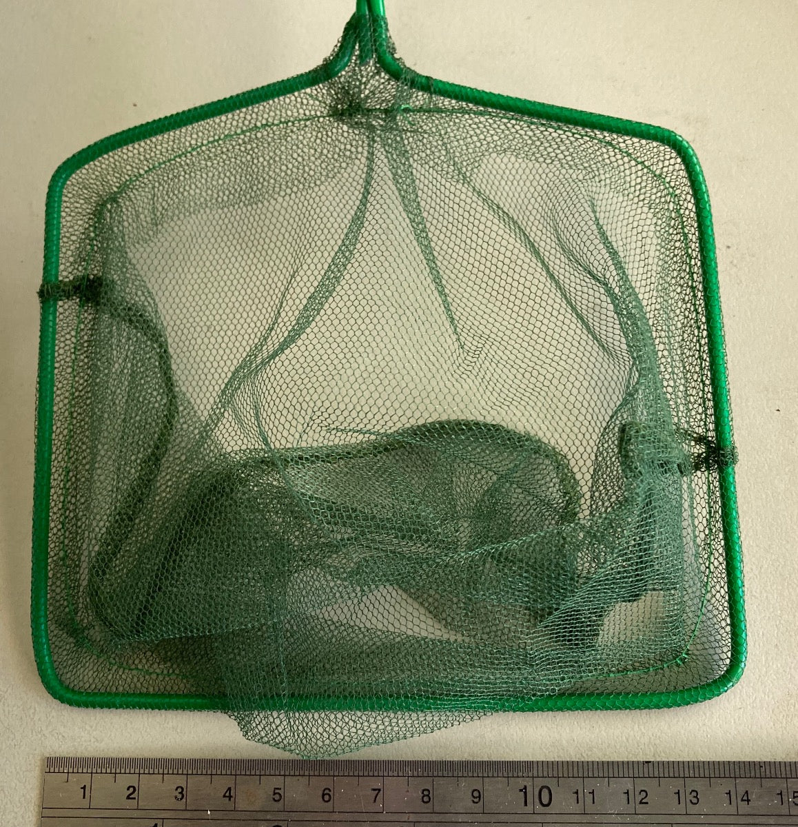 Fish Net 15cm