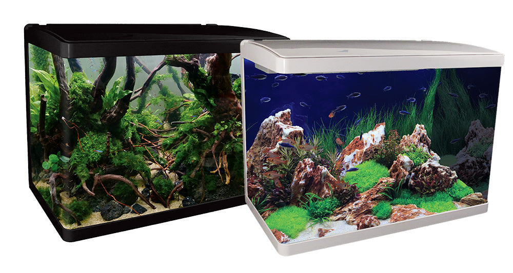 Aqua One Lifestyle 76 Aquarium and Cabinet 76 L BLACK