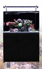 Aqua One Mini reef 160L Aquarium BLACK