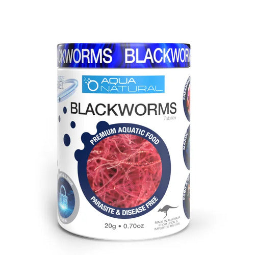 Aqua Natural Freeze Dried Blackworm 20g