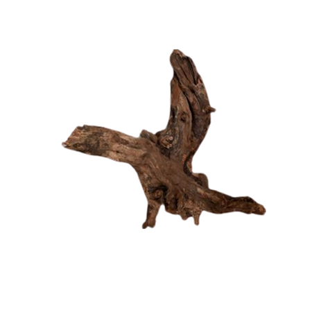 Dymax Driftwood Large