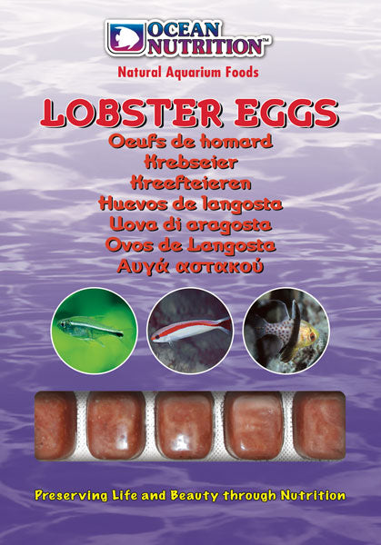 Ocean Nutrition Frozen Lobster Eggs 100g