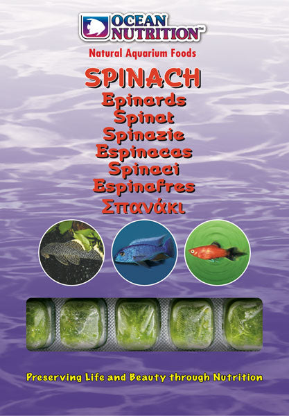 Ocean Nutrition Frozen Spinach 100g