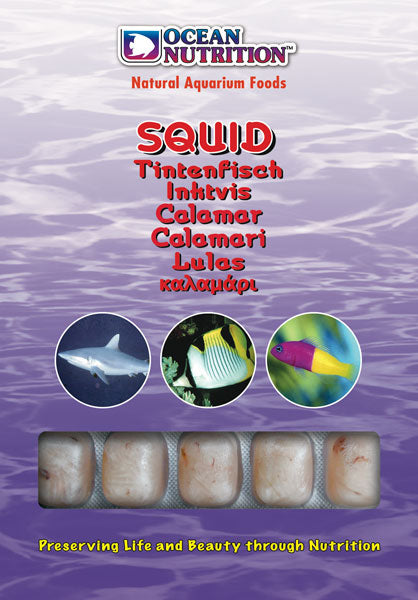 Ocean Nutrition Frozen Squid 100g