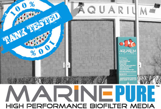 MarinePure Plate 8x8x1"