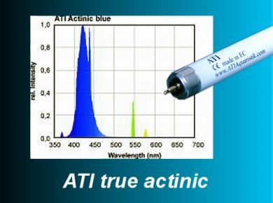 ATI True Actinic 24W