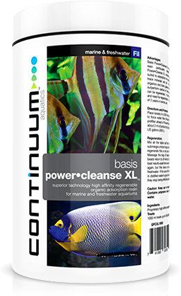 Continuum Power Cleanse XL 250ml