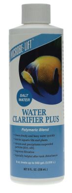 Clarifier Plus 473ml