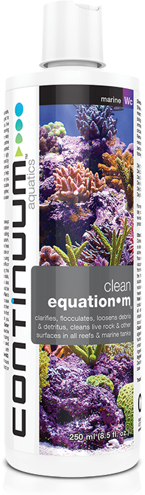 Continuum Clean equation M 250ml