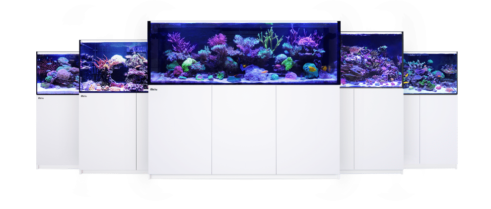 Red Sea Reefer G2+ 170 Aquarium (Black or White)