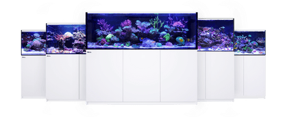 Red Sea Reefer G2+ 170 Aquarium (Black or White)