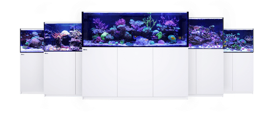 Red Sea Reefer G2+ 170 Aquarium (Black or White)