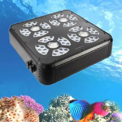 CT-340W Marine LED