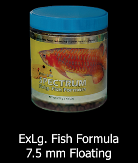 Spectrum XL Fish Formula 375gm