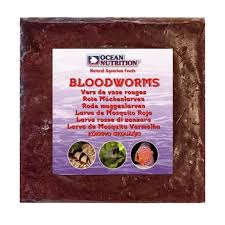 Ocean Nutrition Frozen BloodWorm Flat 454g