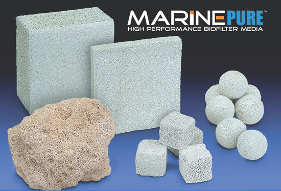 MarinePure Block 8x8x4"