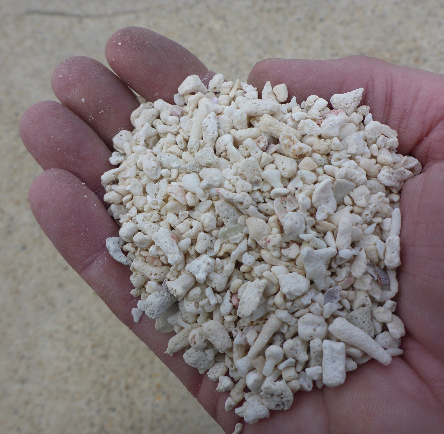 Coral Sand 3-5cm 10kg