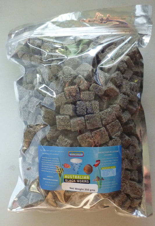 Freeze dried blackworm cubes 250g