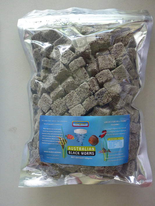 Freeze dried blackworm cubes 100g