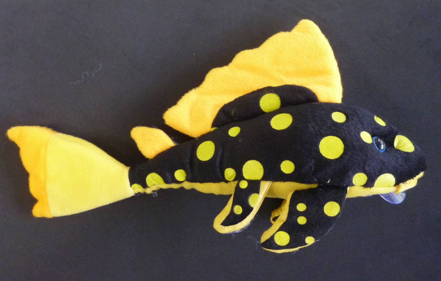 Sunshine Plush Pleco