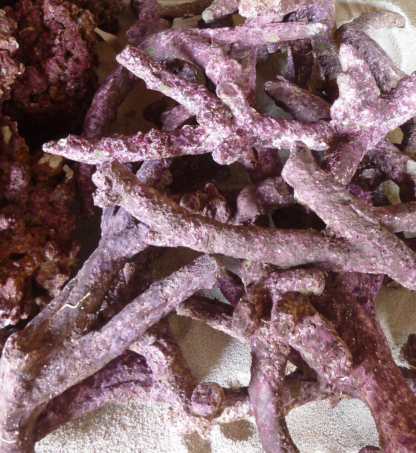 Real Reef Rock Branching  per kg