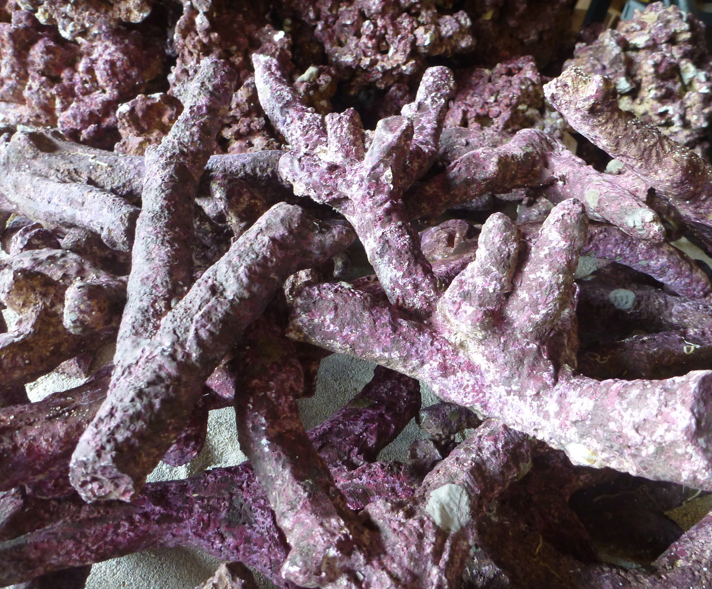 Real Reef Rock Branching  per kg