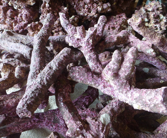 Real Reef Rock Branching  per kg