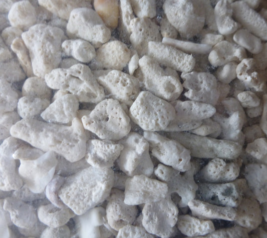 Coral Sand 5-8cm 10kg