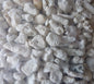 Coral Sand 5-8cm 10kg