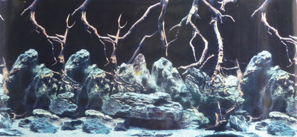 Background scene Undersea/Rock & wood aquarium 60cm high