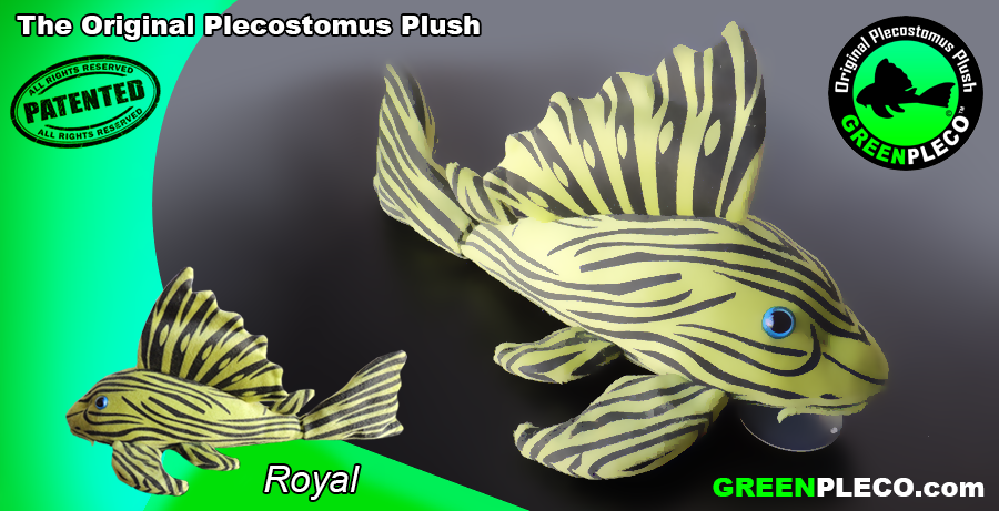 Royal Plush Pleco