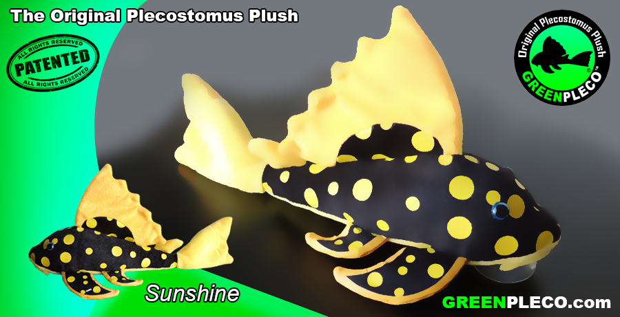 Sunshine Plush Pleco