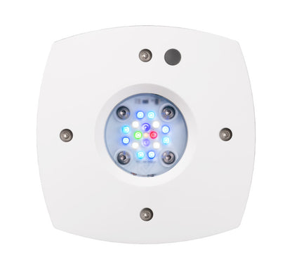 AI Prime HD 16 LED light (white)