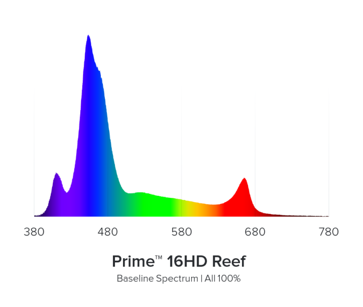 AI Prime HD 16 LED light (black)