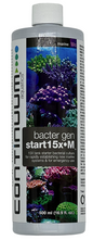 Continuum Bacter Gen Start 15x M 500ml