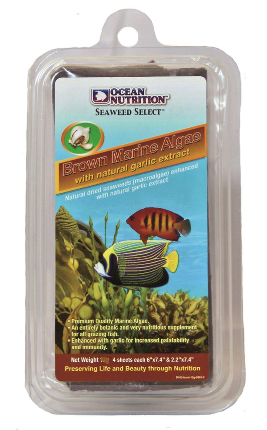 Ocean Nutrition Brown Marine Algae (Seaweed) 30g