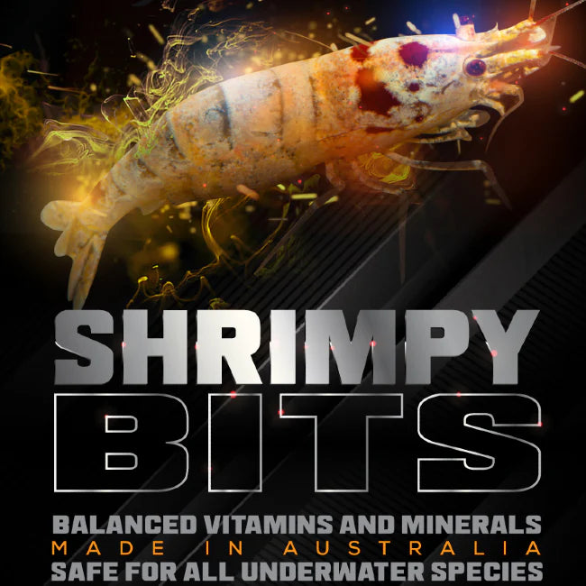 SAS Shrimpy Bits 25g