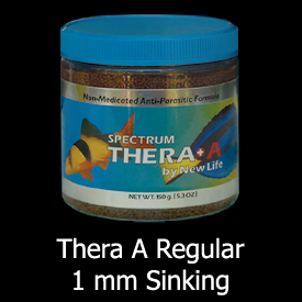 Spectrum Thera A regular 1mm 80gm