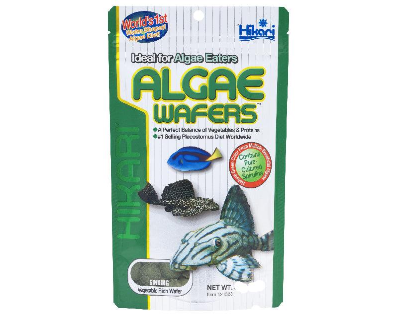 Hikari Algae Wafers 40g