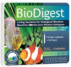 Prodibio Bio Digest x 6